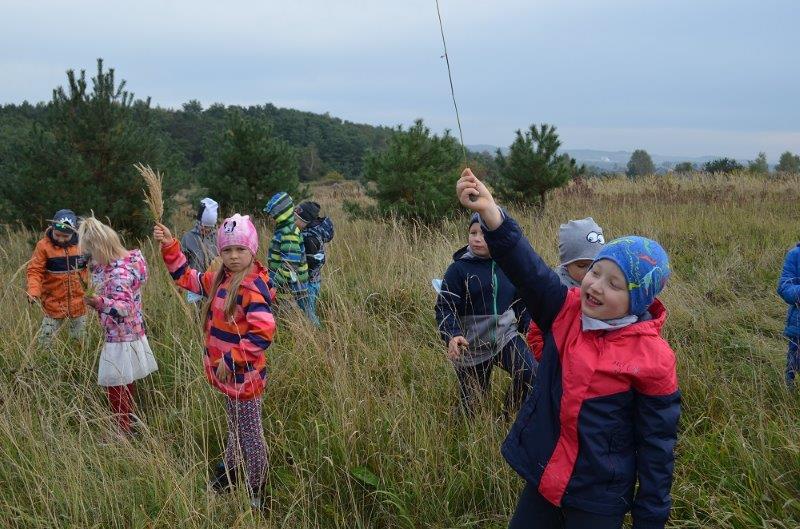 Dzieci pośród wysokich traw z trawami w rękach. Za nimi las i panorama wsi.