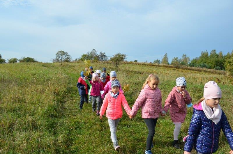 Dzieci schodzą z górki w parach pośród traw. W oddali las. Nad nimi piękne błękitne niebo.
