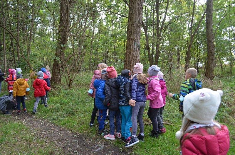 Grupy dzieci przy drzewach w lesie.