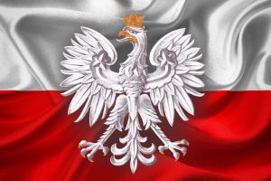 Orzeł w złotej koronie na tle flagi polskiej